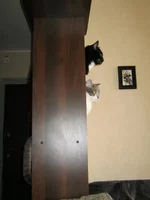 IMG_0669.jpg