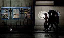 IMGP6046.webp