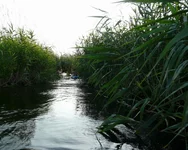 P1090930 - копия - копия_hf_hf.webp