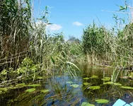 P1090994 - копия - копия_hf_hf.webp