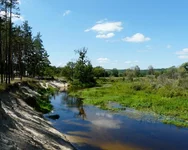 P1100127 - копия_hf_hf.webp