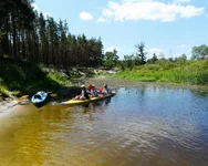 P1100154 - копия_hf_hf.webp