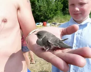 P1100228 - копия_hf_hf.webp