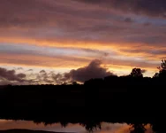 P1100302_hf_hf.webp