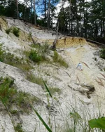 P1100312_hf_hf.webp