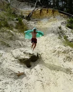 P1100397_hf_hf.webp