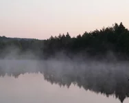 P1100435_hf_hf.webp