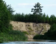 P1100498_hf_hf_hf.webp