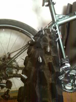 IMAG0039.webp