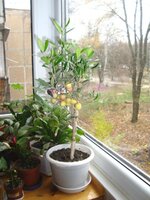 DSC03235.jpg