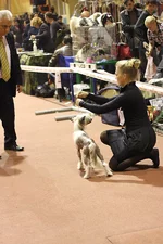 IMG_5201s.webp