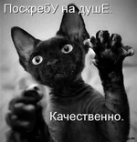  на душе.webp