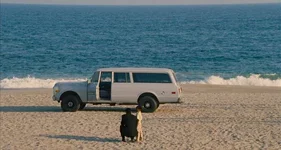 003.webp