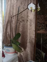 DSCN2072.JPG
