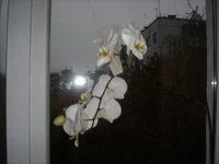DSCN2137.JPG