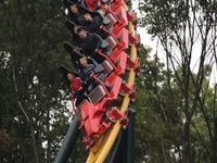 DSCN1565.webp