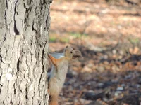 DSCN3468.webp
