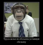 1352896124_1352895606_demotivatory_30.webp