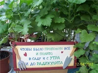 5e78e093a37f.webp