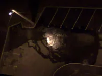 141120122206.webp