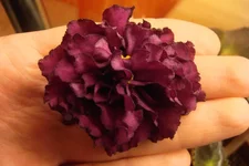 Aca's Puff Ball.webp