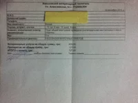 vet1.webp
