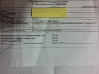 vet2.webp