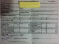 vet3.webp