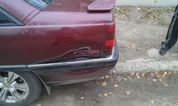 IMAG0600.webp