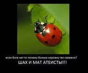 kNxo0KOUoas.webp