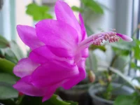 DSC03263.webp