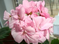 DSC03276.webp