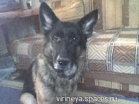 Riwa.webp