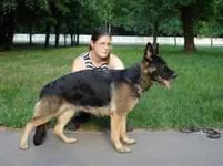 vireneja.webp