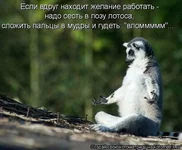 x_931ca29c.webp
