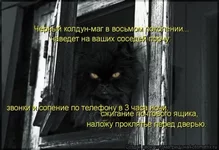 x_202687f2.webp