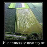 -XnzKfqbXTw.webp