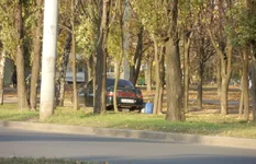 50 лет СССР, р-н дома №16 (4).webp