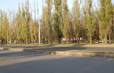 50 лет СССР, р-н дома №16 (5).webp