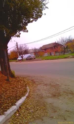 IMAG0499[1].webp