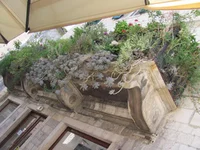 балкон суккулентов.jpg