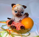 cat-9-8.webp