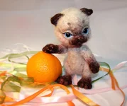 cat-9-5.webp