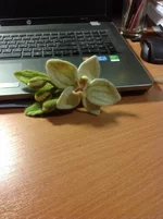 2012-11-11 02.13.35.webp