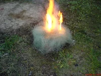  последний путь.webp