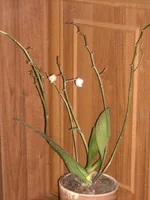 DSCN2218.JPG