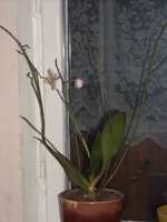 DSCN2222.JPG