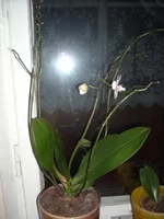 DSCN2223.JPG