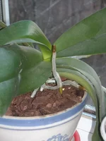 DSCN2228.JPG