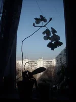 DSCN2237.JPG